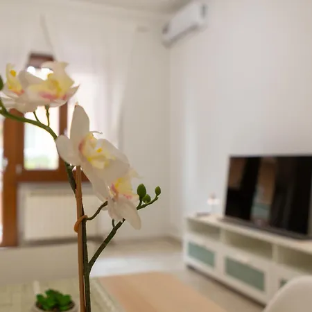 Aeroporto - Casa Kennedy Apartment Ciampino